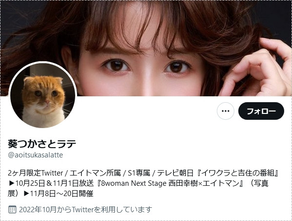 限时2个月!葵冢 (Aoi Tsukasa) twitter 复活!