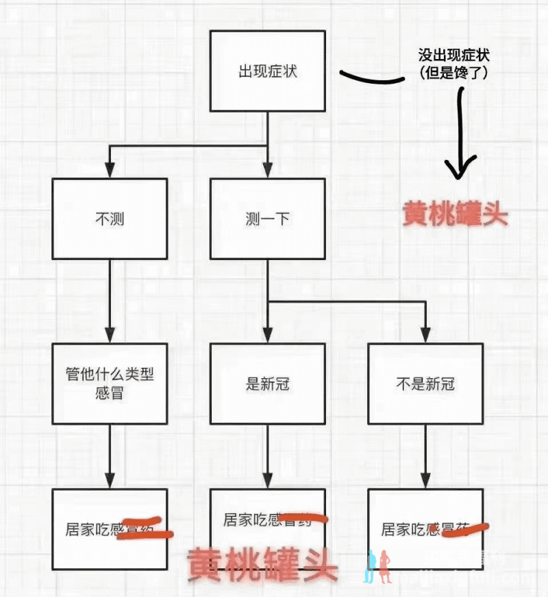 刷爆全网的“初阳权”是什么梗?