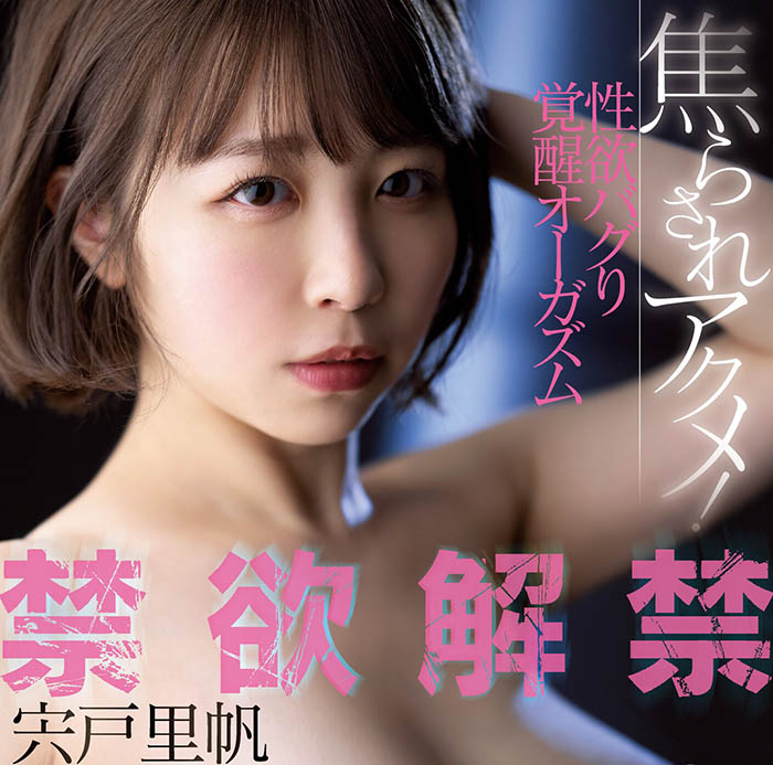 宍戸里帆(宍户里帆,Shishido-Riho)作品MIDV-160介绍及封面预览