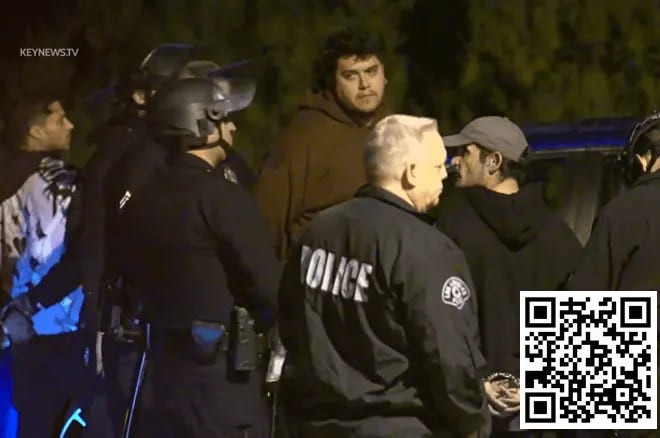 【EV撲克】“赌徒”Mikki被警方逮捕询问,这什么情况?