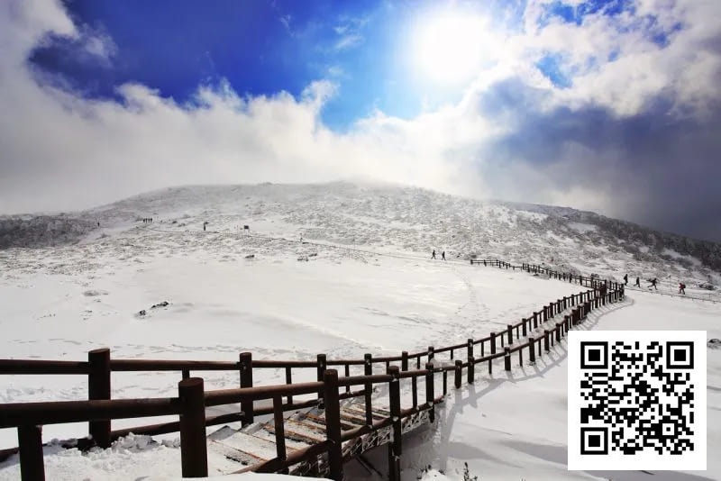 【EV撲克】素白绒雪铺满济州,SUPER CUP掀起新年热潮!开幕赛200人次26人晋级!一起见证冠军产生!【SUPER CUP济州】