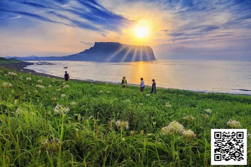 【EV撲克】别Till,来Jeju Chill——必去景点+路线打包+管家制定