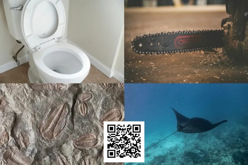 【EV撲克】扑克界谁的绰号最炸裂:电锯、魔鬼鱼、石化人、马桶?
