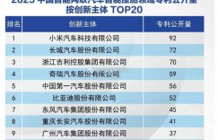 小米汽车座舱与电机专利进入国内前三 仅次于这两家【EV撲克下載】
